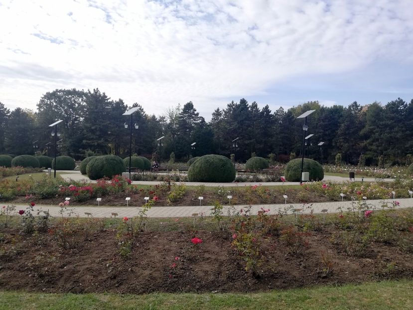  - 2021 Gradina Botanica Iasi