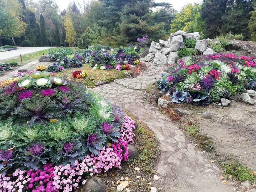  - 2021 Gradina Botanica Iasi