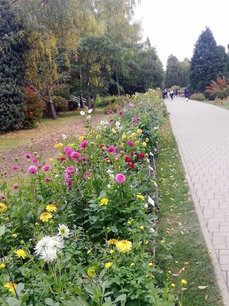  - 2021 Gradina Botanica Iasi