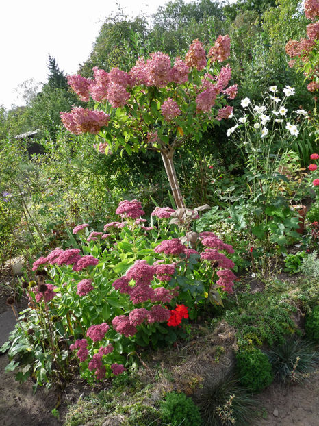  - 2021 - 03 - Toamna