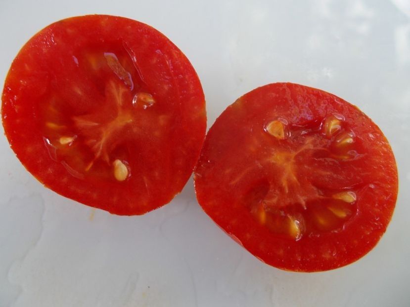  - SEMINTE ROSII - T 720 OLIVETTE STRIEE