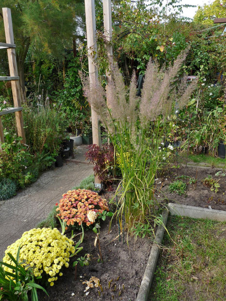  - 2021 - 03 - Toamna