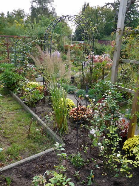  - 2021 - 03 - Toamna