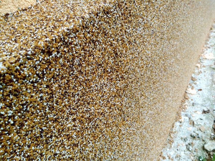 23temelie - Soclul cu Bob de Orez