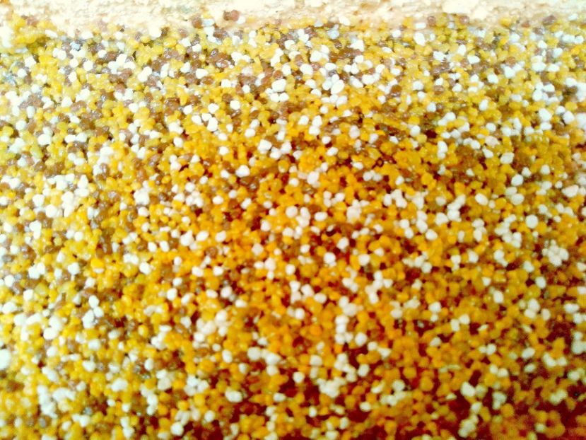 25temelie - Soclul cu Bob de Orez