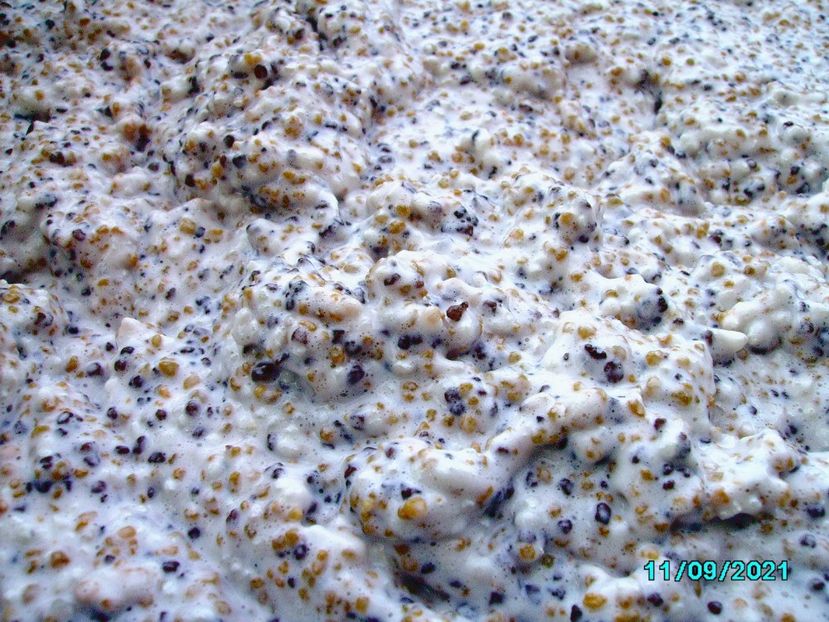  - Soclul cu Bob de Orez