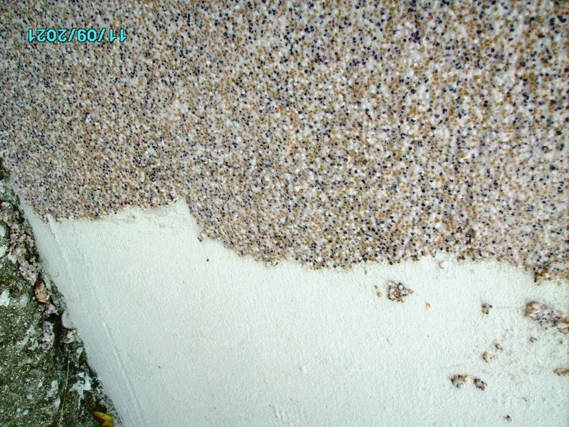  - Soclul cu Bob de Orez