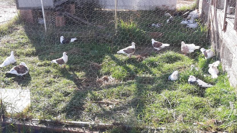 1634458265245-1494552309 - 2021 listi