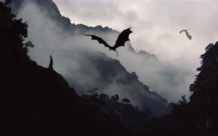  - Dreams N Arrows - Blog