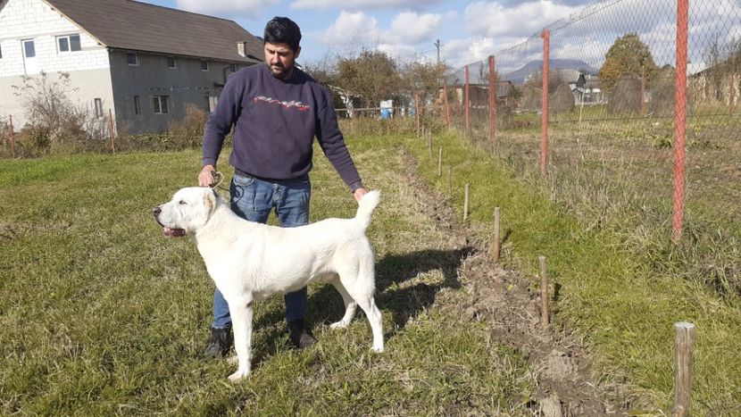 17.10.2021. - ASIA - CENTRALĂ