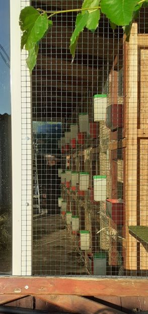 Screenshot_20210802-194050_Gallery - ADAPOST - CALIFORNIAN