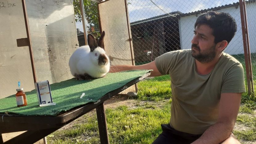  - ADAPOST - CALIFORNIAN