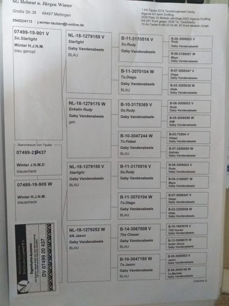437ped - Achizitii porumbei -2021