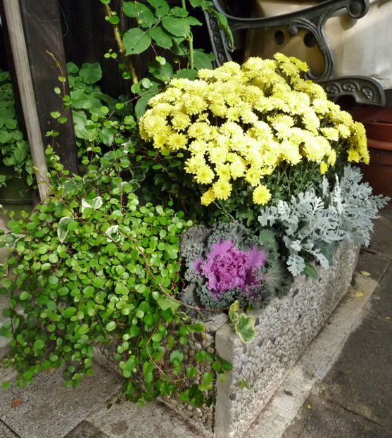  - 2021 - 03 - Toamna