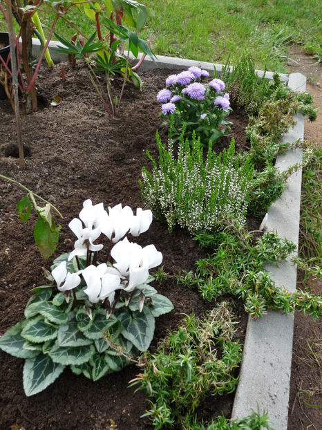  - 2021 - 03 - Toamna