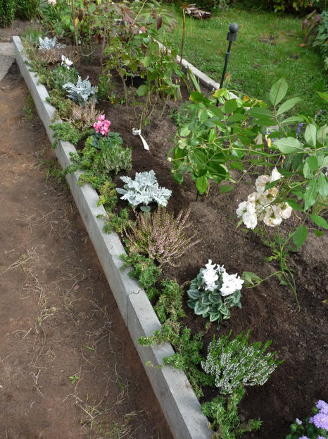  - 2021 - 03 - Toamna