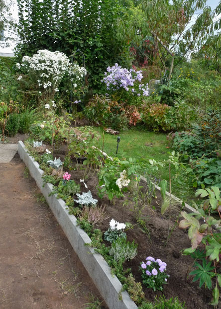  - 2021 - 03 - Toamna