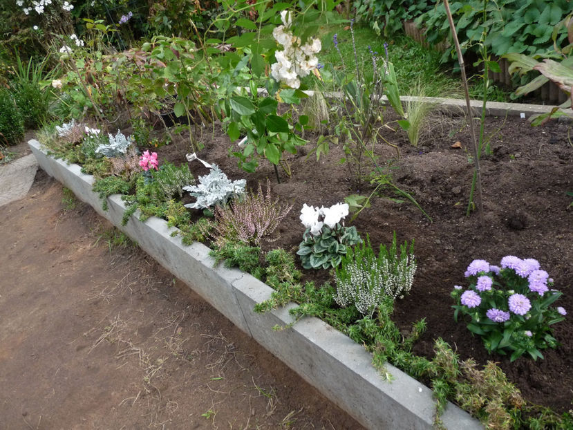  - 2021 - 03 - Toamna