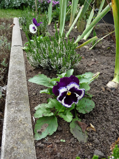  - 2021 - 03 - Toamna