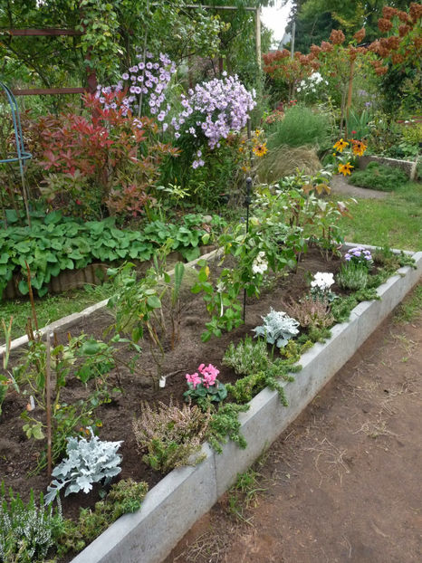  - 2021 - 03 - Toamna