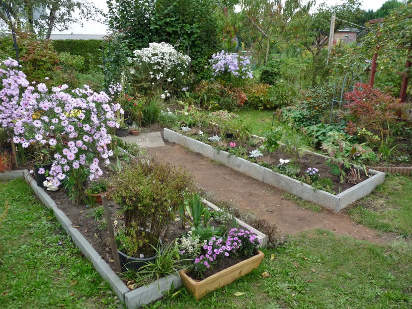  - 2021 - 03 - Toamna