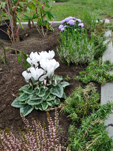  - 2021 - 03 - Toamna