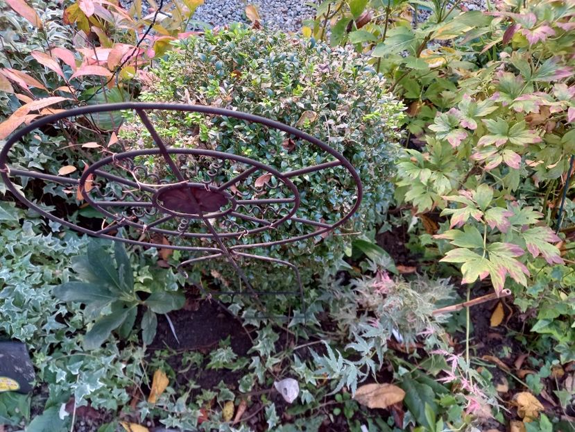  - Grădina 2021 continuare 2