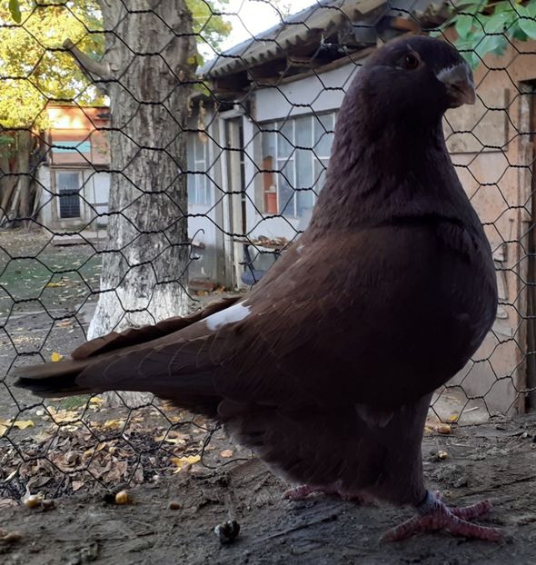 M 2020 - Agh vanduti 2019-2020-2021-2022-2024 2025