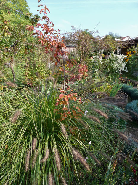  - 2021 - 03 - Toamna