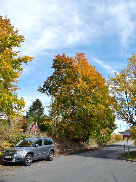  - 2021 - 03 - Toamna