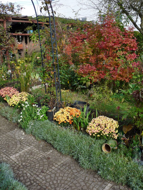  - 2021 - 03 - Toamna