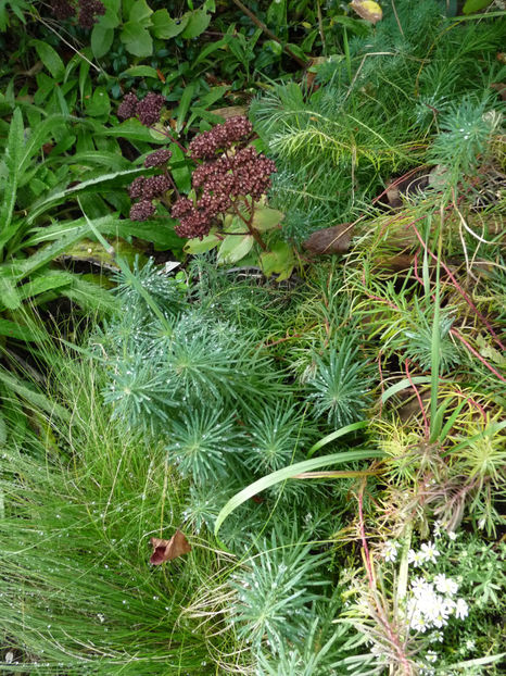  - 2021 - 03 - Toamna