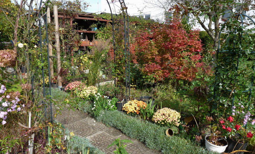  - 2021 - 03 - Toamna