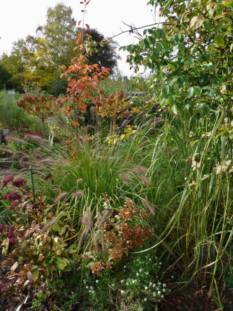  - 2021 - 03 - Toamna