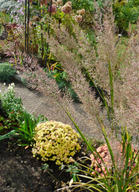  - 2021 - 03 - Toamna