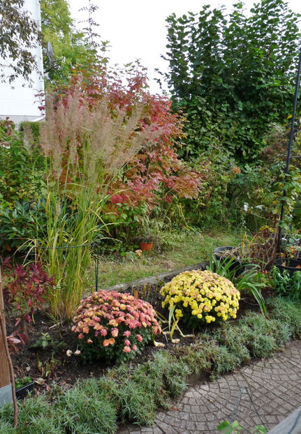  - 2021 - 03 - Toamna