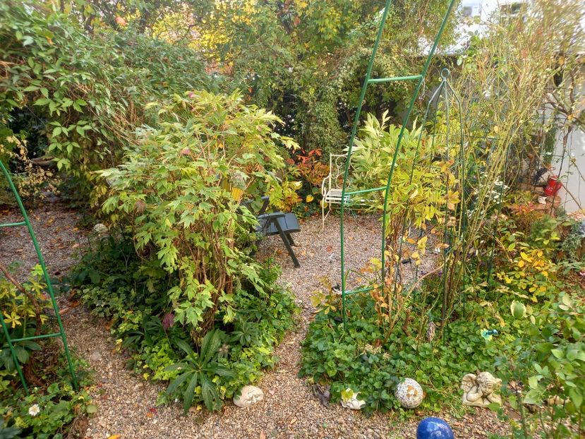  - Grădina 2021 continuare 2