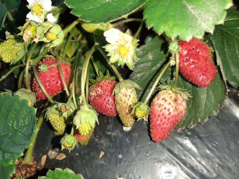  - La țară în octombrie 2021