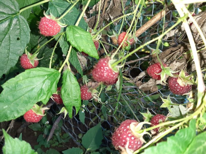  - La țară în octombrie 2021