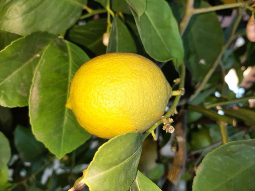  - La țară în octombrie 2021