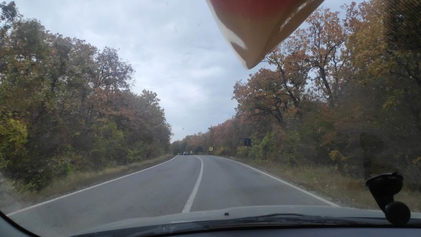  - Parcheș