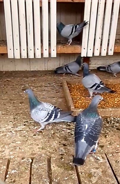 Screenshot_20211024-122728_Gallery - 2021