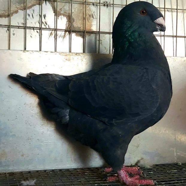  - 3---AGH DAȚI 2019 - 2025