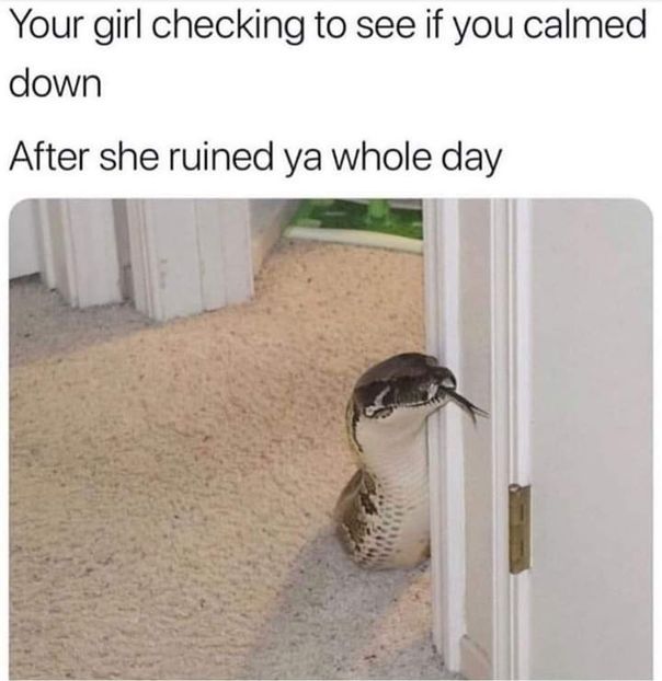  - get wasted until my mind s erased