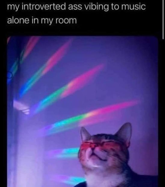  - get wasted until my mind s erased