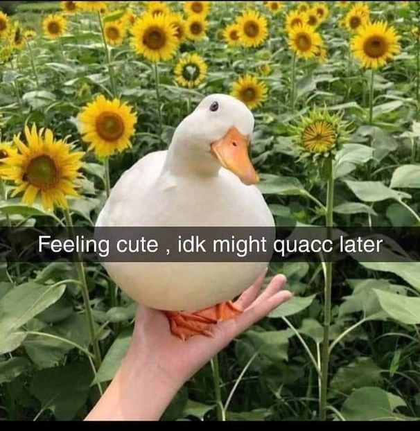  - get wasted until my mind s erased