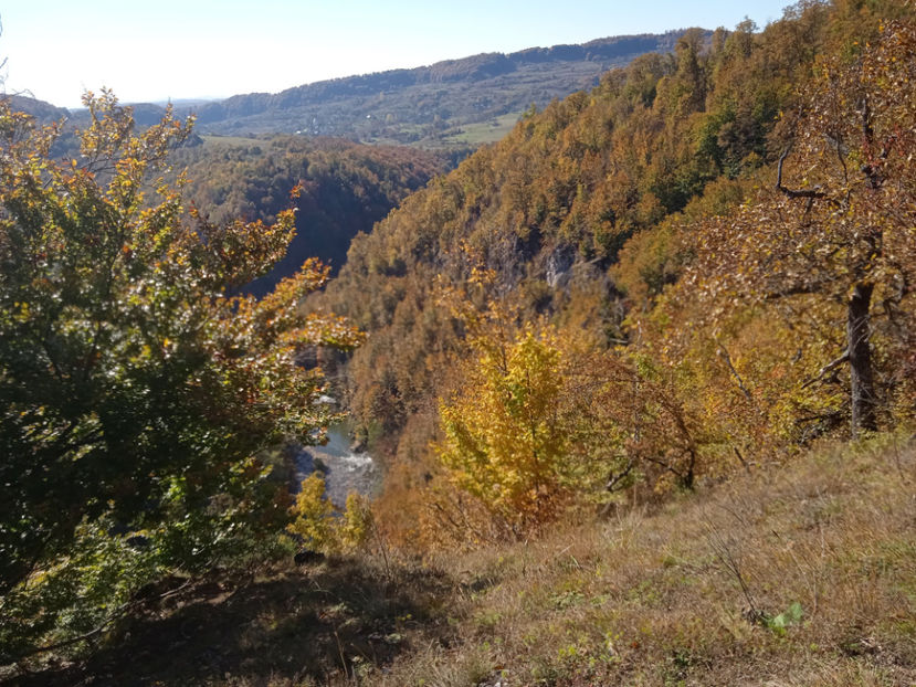  - Pe Defileul Lăpușului