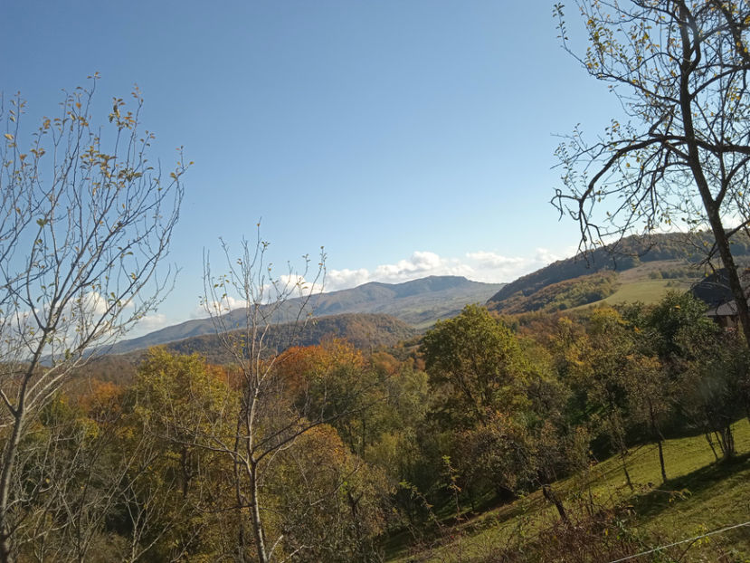  - Pe Defileul Lăpușului