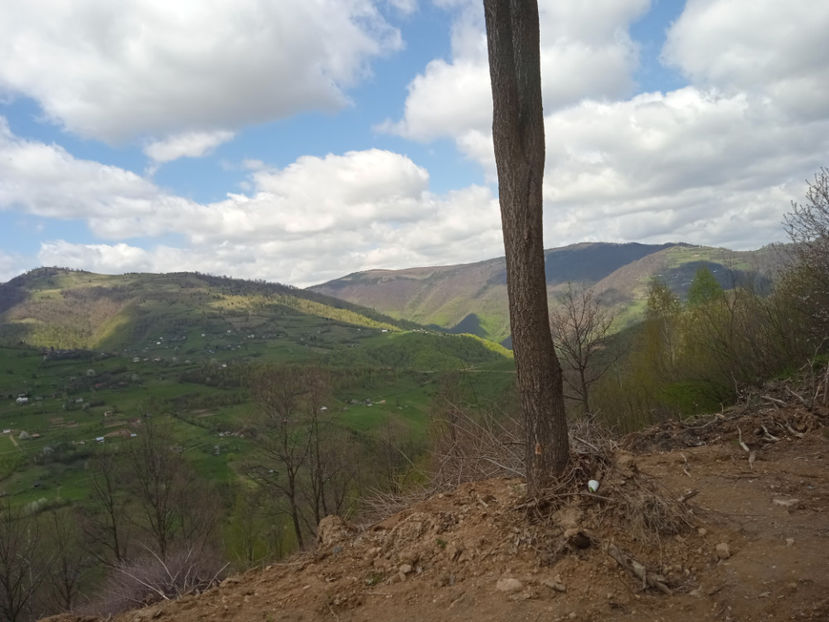 Muntele Rece - Excursie la cascade