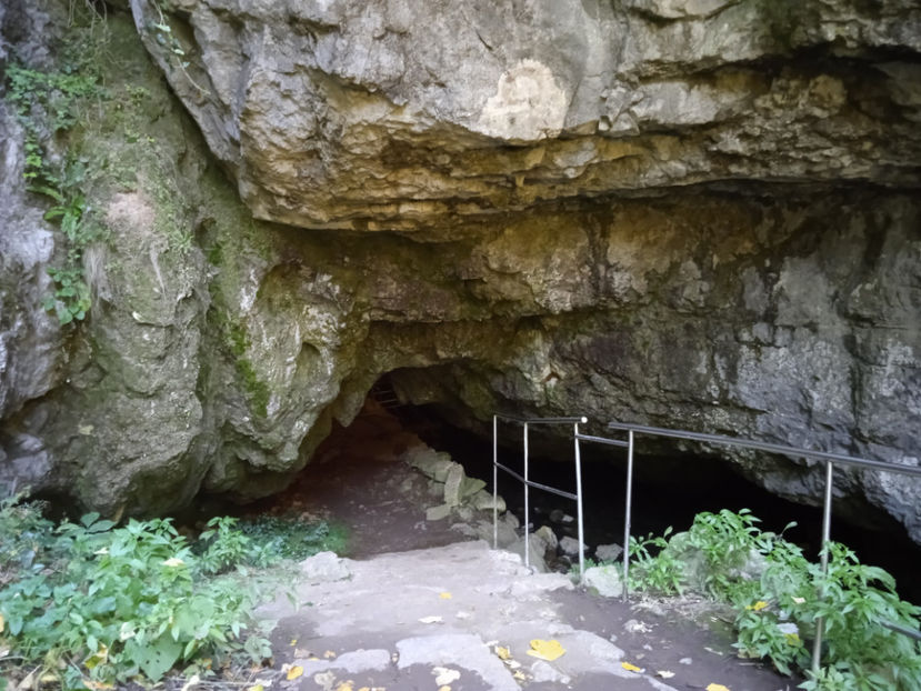Aici începe tărâmul de vis, vă las pe noi să admirați una din cele mai frumoase peșteri din Bihor. - La Peștera Vadu Crișului